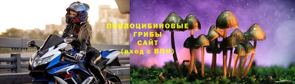 apvp Алексин