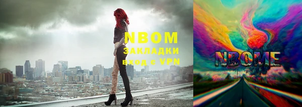 apvp Алексин