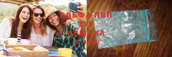 индика Сафоново